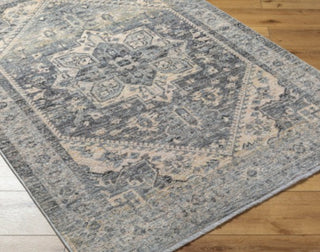 Livabliss Chicago CHG-2316 Area Rug