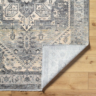 Livabliss Chicago CHG-2316 Area Rug