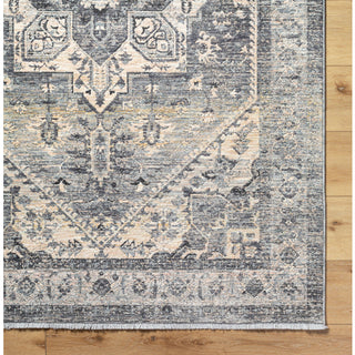 Livabliss Chicago CHG-2316 Area Rug