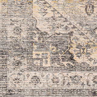 Livabliss Chicago CHG-2316 Area Rug