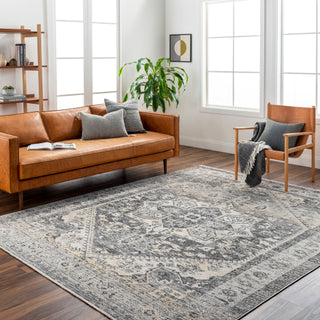 Livabliss Chicago CHG-2316 Area Rug