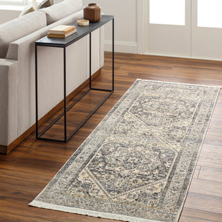 Livabliss Chicago CHG-2316 Area Rug