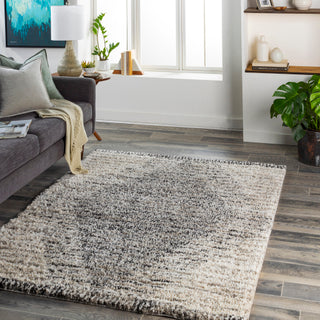 Surya Capella Shag CPS-2300 Area Rug Room Scene Featured 