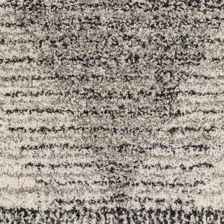 Surya Capella Shag CPS-2300 Area Rug Close Up 