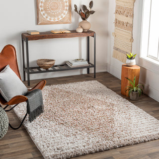 Surya Capella Shag CPS-2301 Area Rug Room Scene Featured 