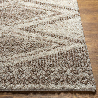 Surya Capella Shag CPS-2303 Area Rug Corner 