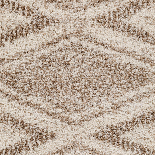 Surya Capella Shag CPS-2303 Area Rug Close Up 