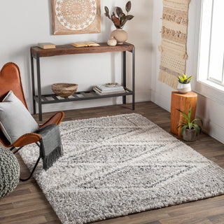 Surya Capella Shag CPS-2304 Area Rug Room Scene Featured 