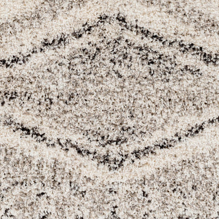 Surya Capella Shag CPS-2304 Area Rug Close Up 