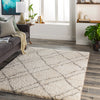 Surya Capella Shag CPS-2306 Area Rug Room Scene Featured 