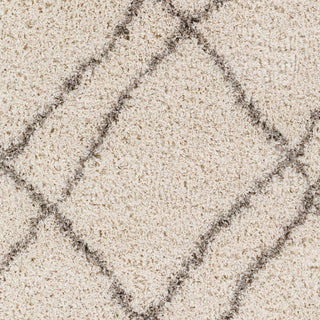 Surya Capella Shag CPS-2306 Area Rug Close Up 