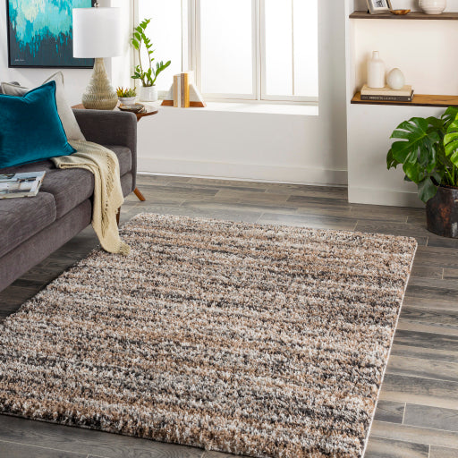 Surya Capella Shag CPS-2307 Area Rug Room Scene Featured 