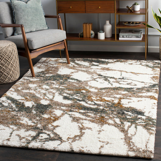 Surya Celestial Shag CSG-2303 Area Rug Room Scene Featured 