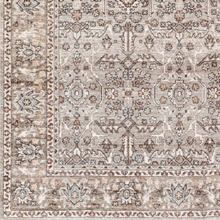 Surya Carlisle CSI-2301 Area Rug Close Up 