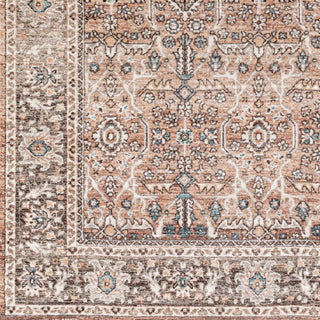 Surya Carlisle CSI-2302 Area Rug Close Up 