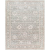 Livabliss Carlisle CSI-2309 Area Rug