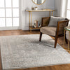 Livabliss Carlisle CSI-2309 Area Rug