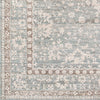 Livabliss Carlisle CSI-2309 Area Rug