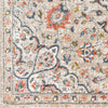 Surya Davaro DAV-2301 Area Rug Close Up 