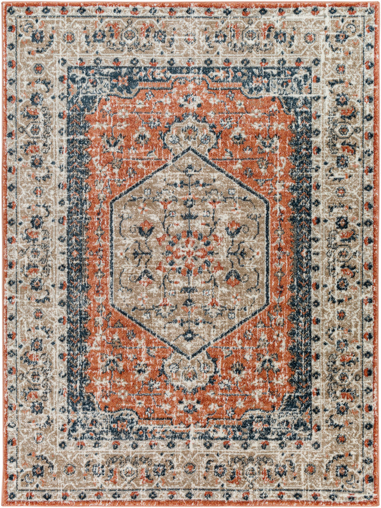 Surya Davaro DAV-2307 Area Rug Main Image 