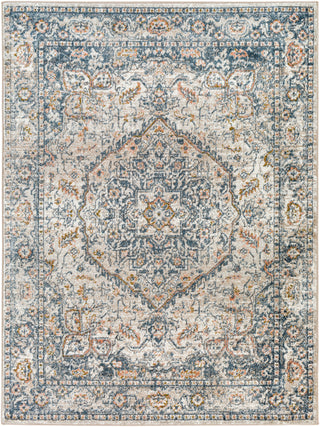 Surya Davaro DAV-2308 Area Rug Main Image 