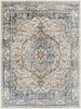 Surya Davaro DAV-2308 Area Rug 7'10"x10'