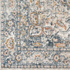 Surya Davaro DAV-2308 Area Rug Close Up 