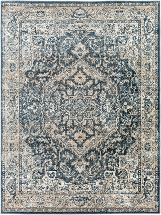 Surya Davaro DAV-2310 Area Rug Main Image 