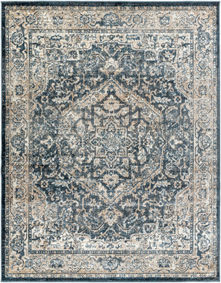 Surya Davaro DAV-2310 Area Rug 7'10"x10'