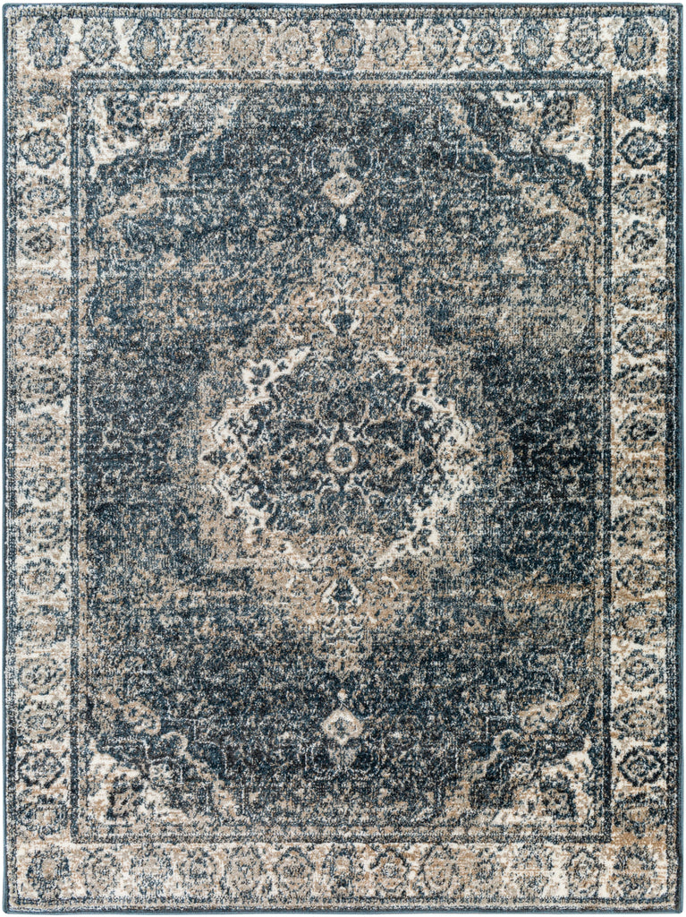 Surya Davaro DAV-2314 Area Rug Main Image 