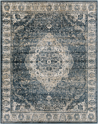 Surya Davaro DAV-2314 Area Rug 7'10"x10'