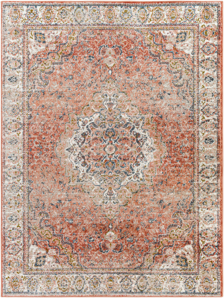 Surya Davaro DAV-2315 Area Rug Main Image 