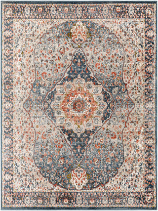 Surya Davaro DAV-2317 Area Rug 7'10"x10'