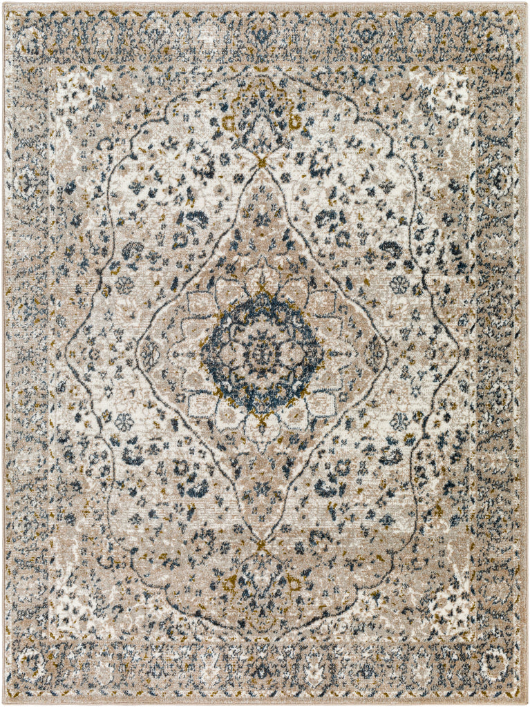 Surya Davaro DAV-2318 Area Rug Main Image 