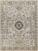 Surya Davaro DAV-2318 Area Rug 7'10"x10'