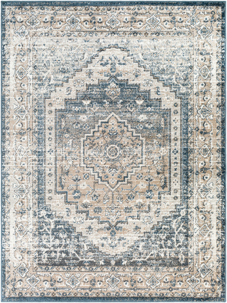 Surya Davaro DAV-2319 Area Rug Main Image 