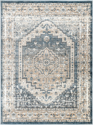 Surya Davaro DAV-2319 Area Rug 7'10"x10'