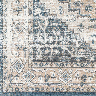 Surya Davaro DAV-2319 Area Rug Close Up 