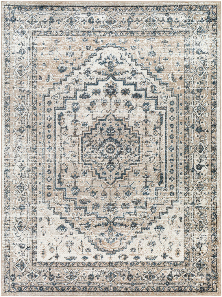 Surya Davaro DAV-2320 Area Rug Main Image 