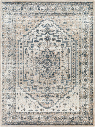 Surya Davaro DAV-2320 Area Rug Main Image 