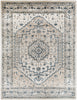 Surya Davaro DAV-2320 Area Rug 7'10"x10'