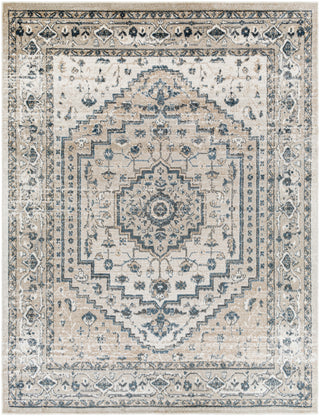 Surya Davaro DAV-2320 Area Rug 7'10"x10'