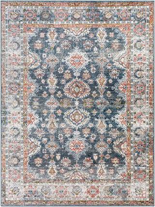 Surya Davaro DAV-2322 Area Rug Main Image 