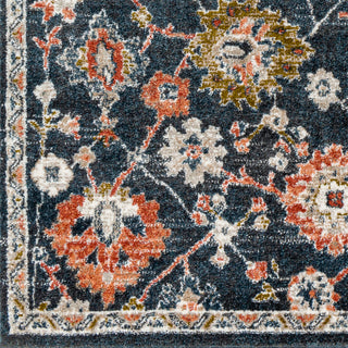 Surya Davaro DAV-2330 Area Rug Close Up