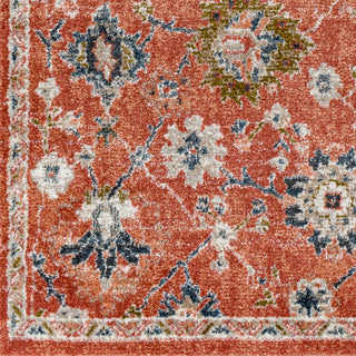 Surya Davaro DAV-2331 Area Rug Close Up