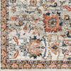 Surya Davaro DAV-2332 Area Rug Close Up 