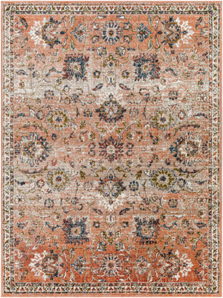 Surya Davaro DAV-2333 Area Rug Main Image 