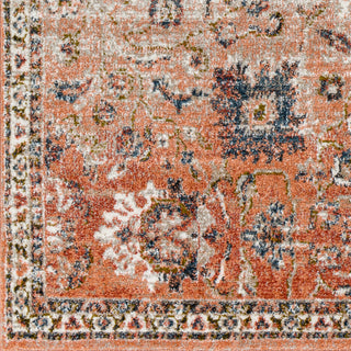 Surya Davaro DAV-2333 Area Rug Close Up 