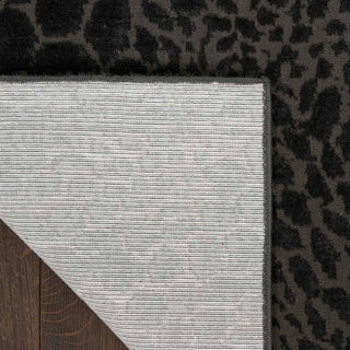 Nourison Desire DSR08 Charcoal Silver Area Rug