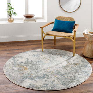 Surya Dresden DRE-2302 Area Rug Room Scene 3